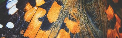 hermes biodiversity